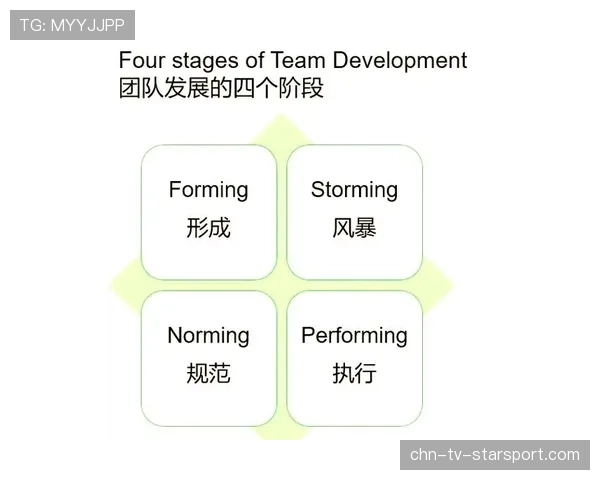 阵容磨合🤝实力飞跃 阵容磨合🤝实力飞跃