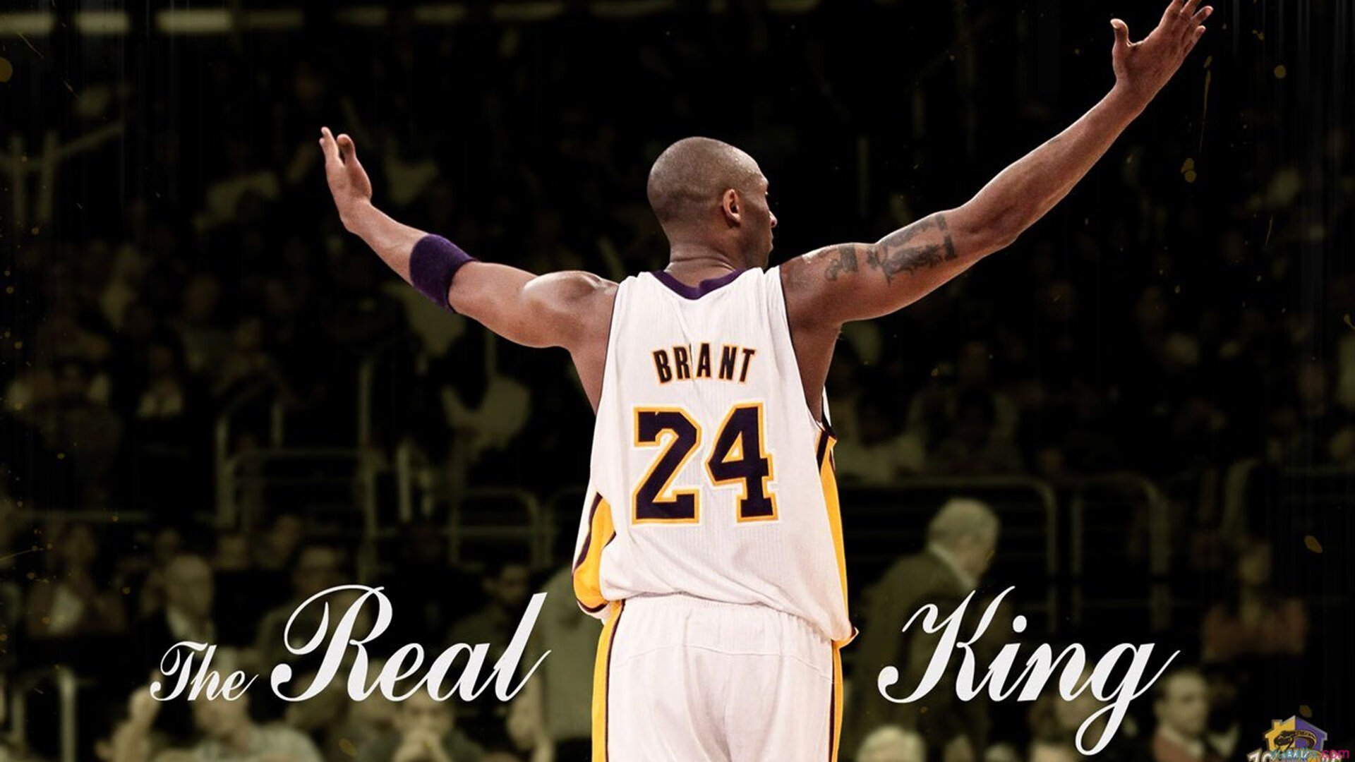 乔·波尔曼稳定发挥,帮助袋鼠队巩固防线与进攻